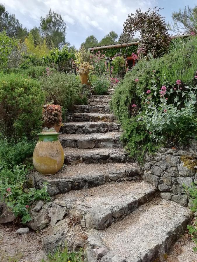 Chambre D'Hote Le Mas Des Romarins Les Arcs-sur-Argens Eksteriør billede