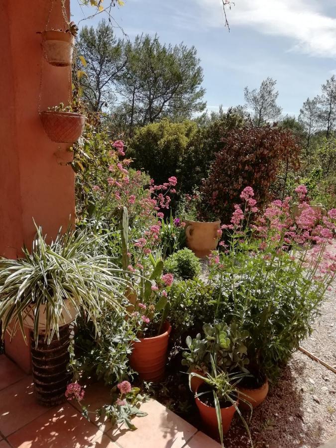 Chambre D'Hote Le Mas Des Romarins Les Arcs-sur-Argens Eksteriør billede