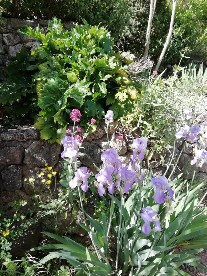 Chambre D'Hote Le Mas Des Romarins Les Arcs-sur-Argens Eksteriør billede