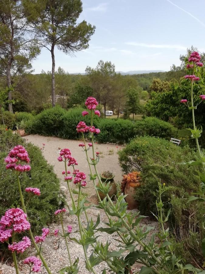 Chambre D'Hote Le Mas Des Romarins Les Arcs-sur-Argens Eksteriør billede